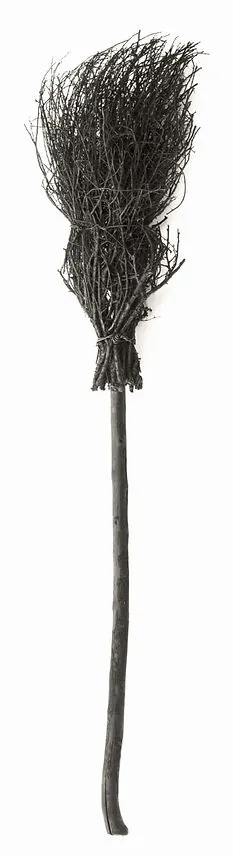 gray broom_edited_edited.jpg
